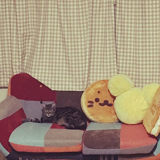 tirolさんの実例写真