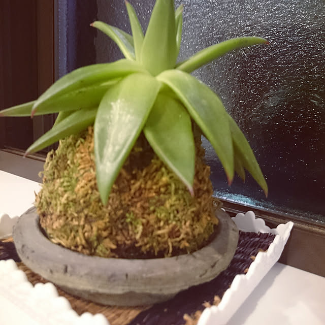 hellotookさんの実例写真