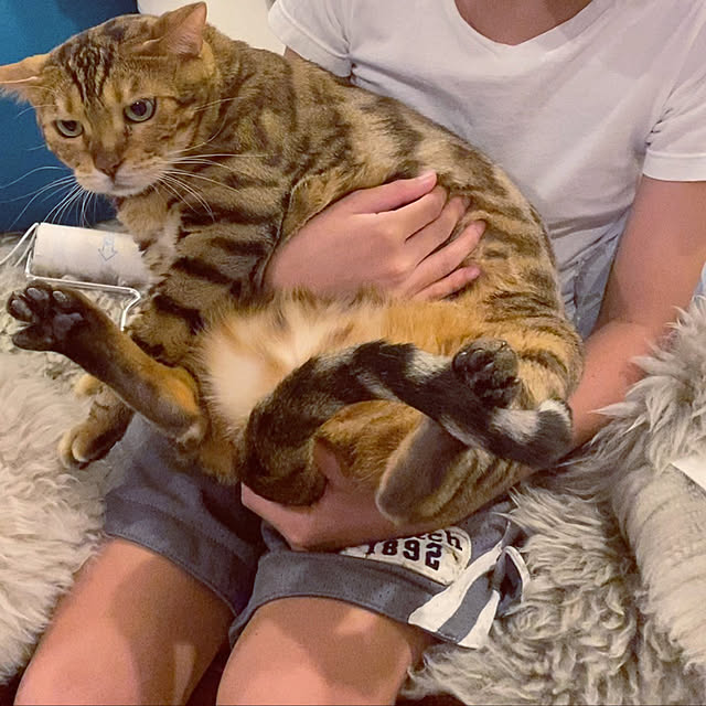 iranさんの実例写真