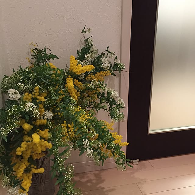 murapiさんの実例写真