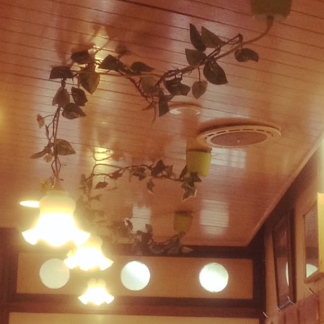 Shinichiroさんの実例写真