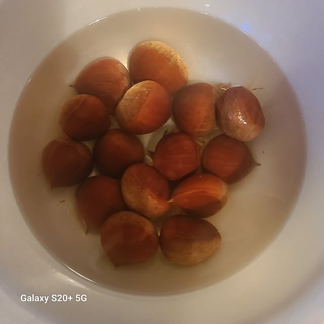 monnさんの部屋