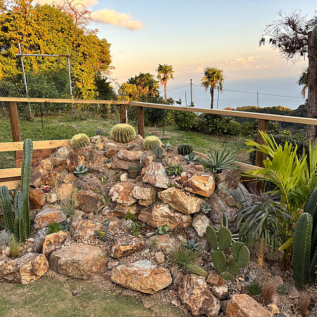 bonjiri0824さんの部屋