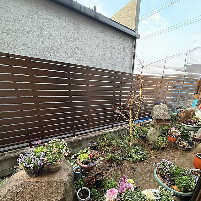 buchiさんの部屋