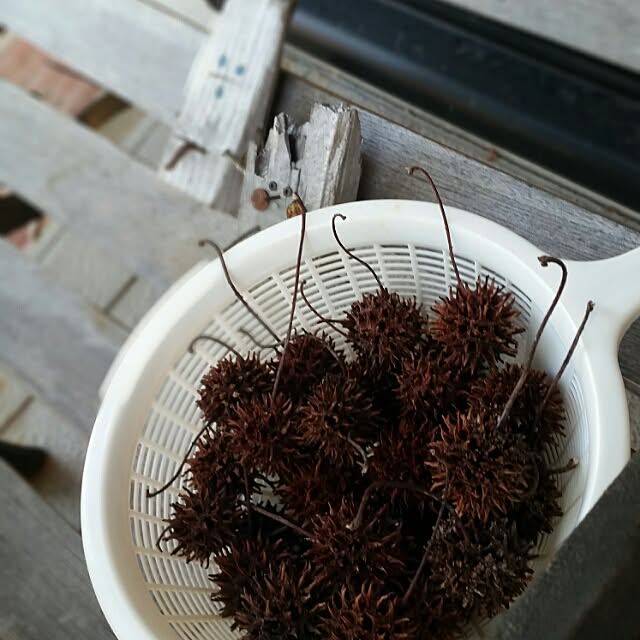 hitomiさんの実例写真