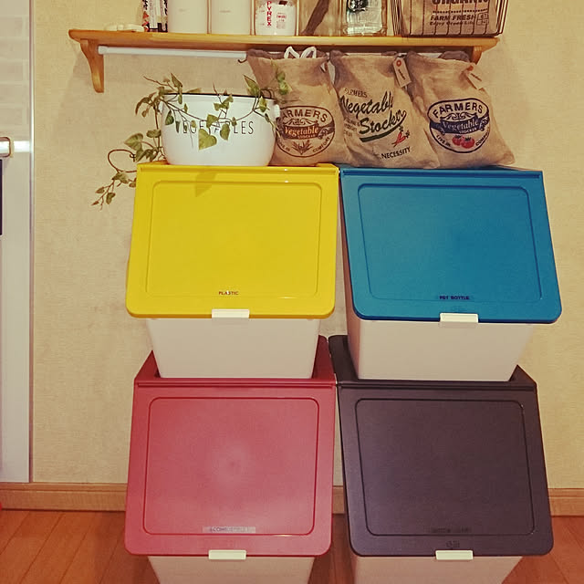 キッチン/セリア/フェイクグリーンのインテリア実例 - 2019-03-12 01:28:17
