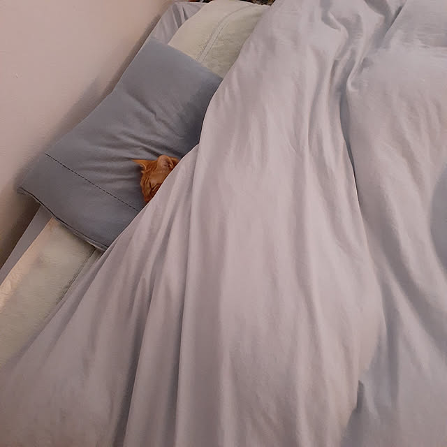 amtさんの実例写真