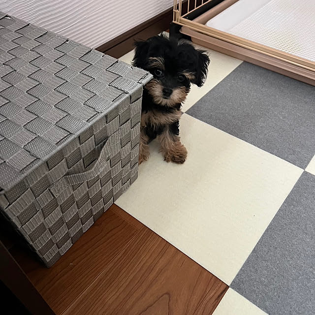 beaさんの実例写真