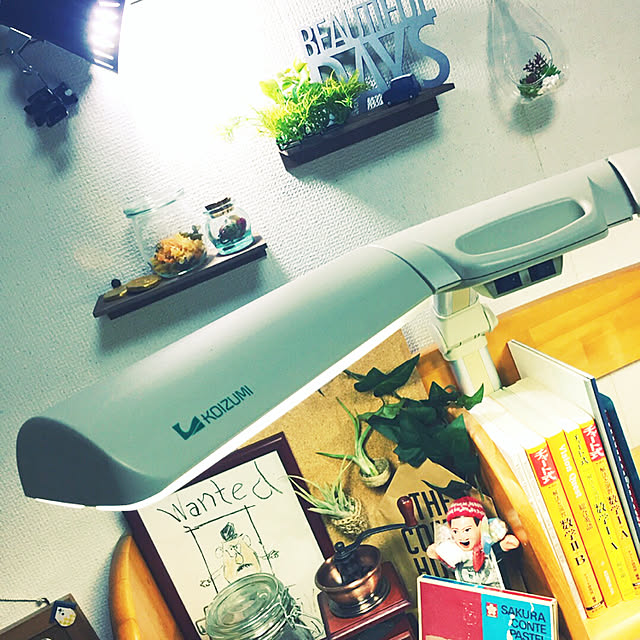 tani0924さんの実例写真