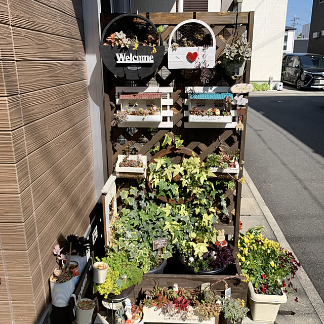 hinaさんの実例写真