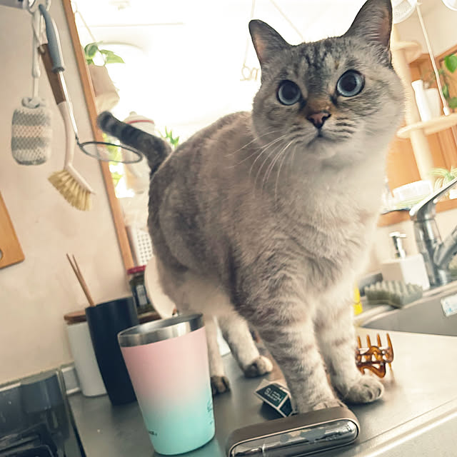 Ny77Coronさんの実例写真