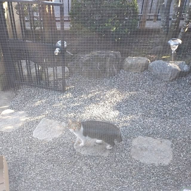 NOAHさんの部屋