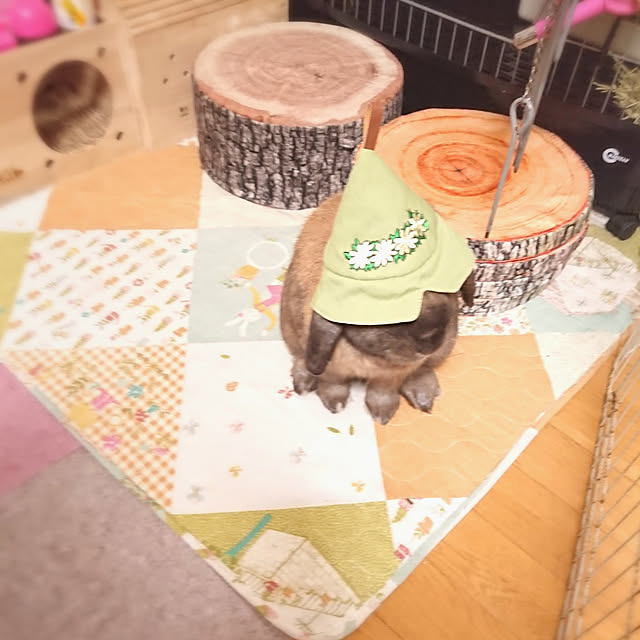 mariaさんの実例写真