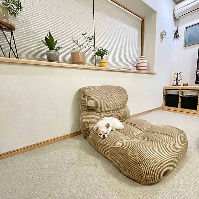 haritakaさんの実例写真