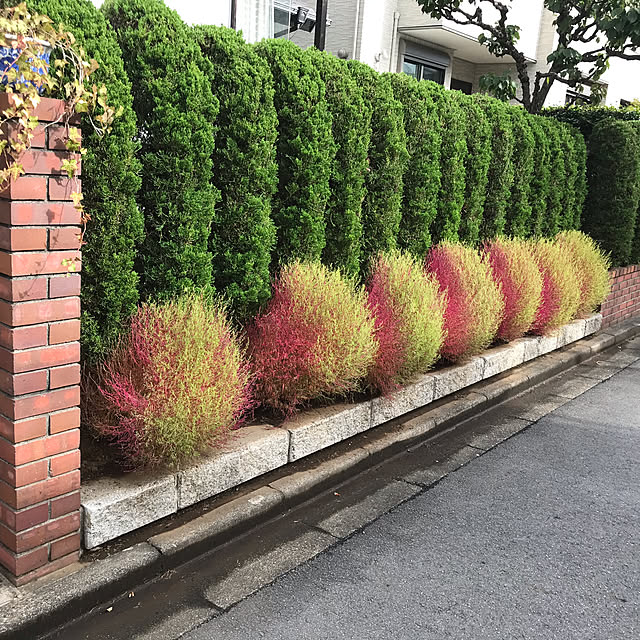 yuhgiriさんの実例写真