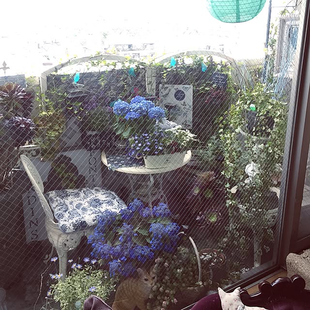 emmyyさんの実例写真