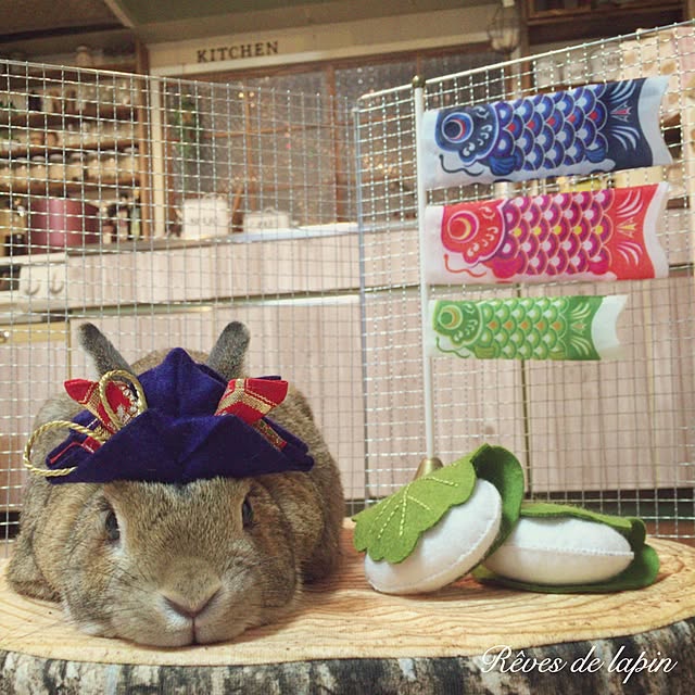 mashiさんの実例写真