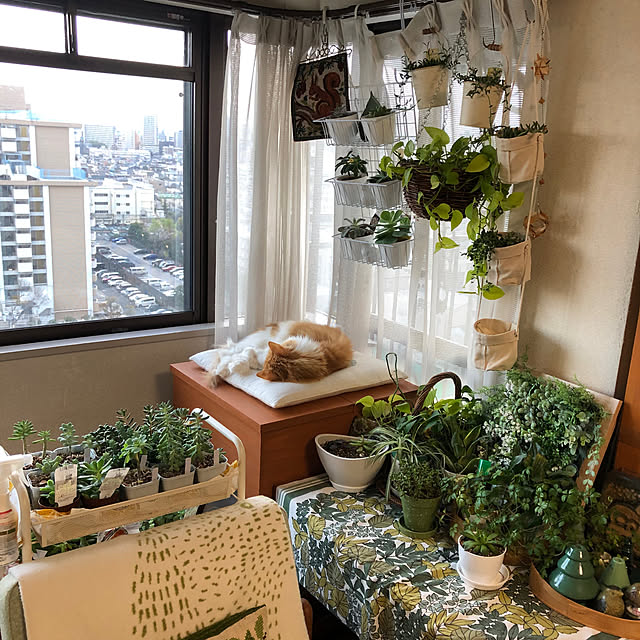 uchidaizuさんの実例写真
