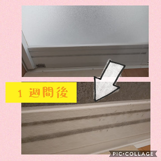 BeansBabyさんの実例写真