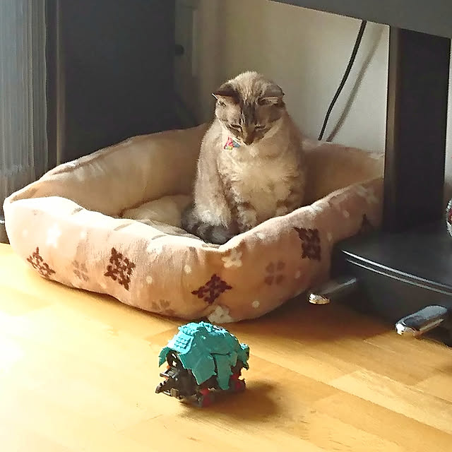 bonobono54さんの実例写真