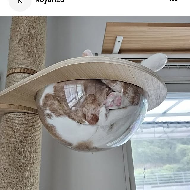 koyurizuさんの実例写真