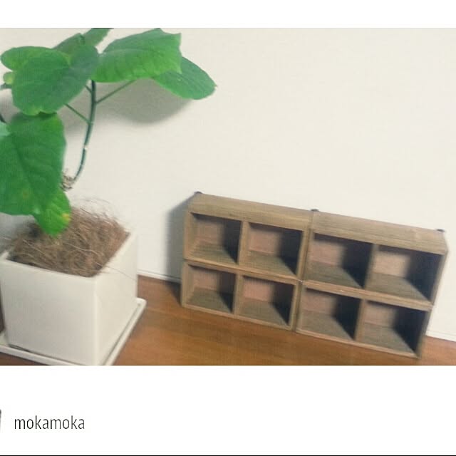 mokamokaさんの実例写真