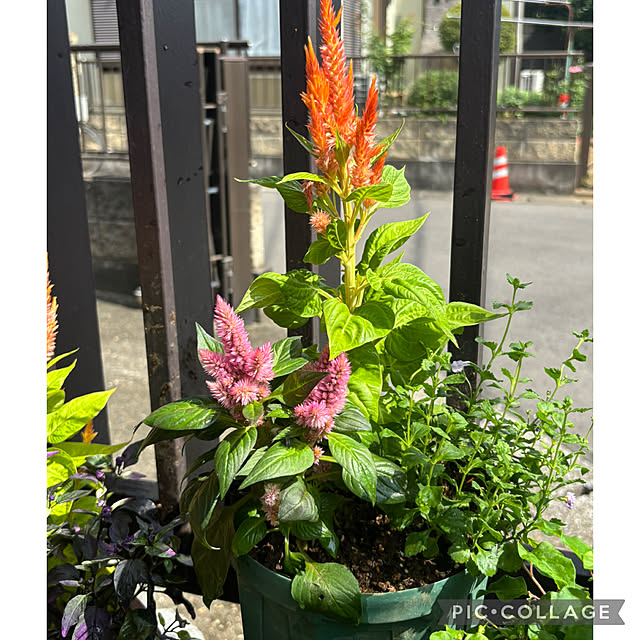 Smilkazuさんの部屋