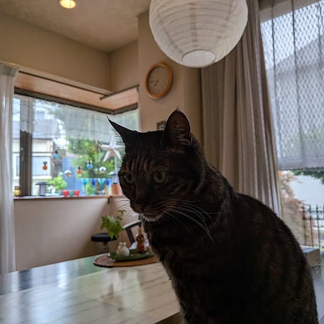 Mayumi8888さんの実例写真