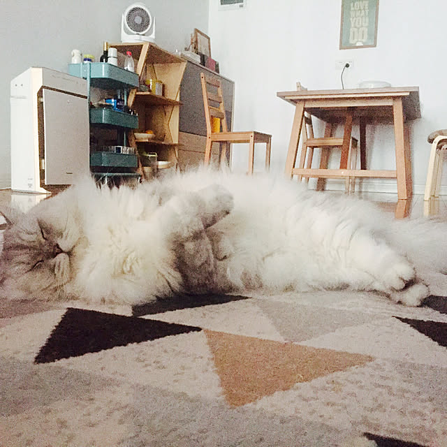 Mimiさんの実例写真