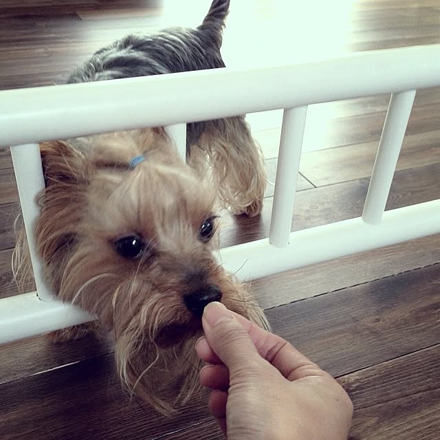 cheeさんの実例写真