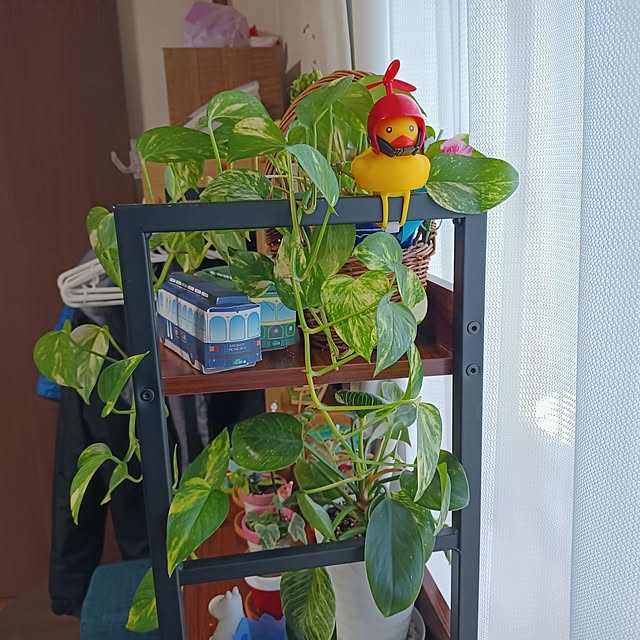 tomo5さんの実例写真