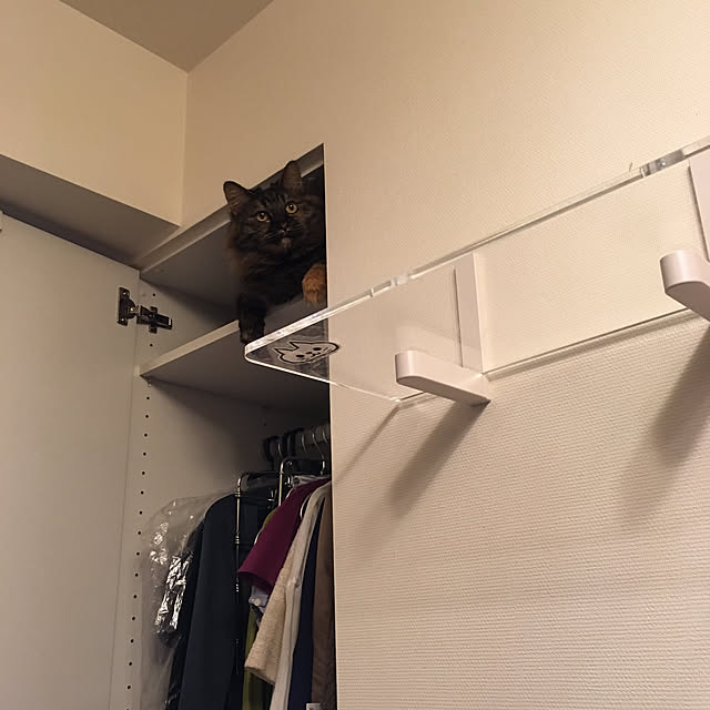mikomaruさんの実例写真