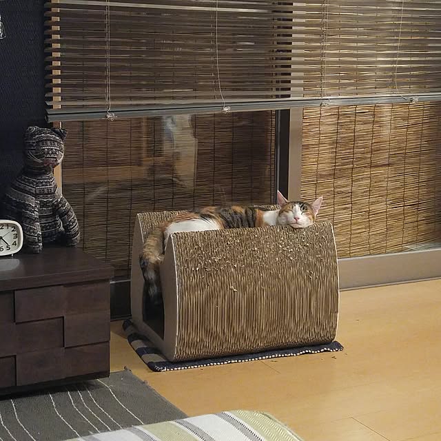 l..tomesanさんの実例写真