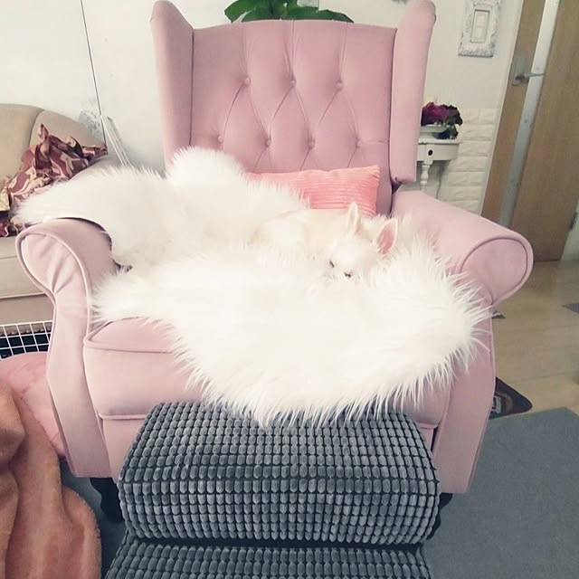 Bienvenueさんの部屋