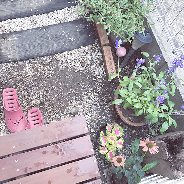 na__kaさんの実例写真