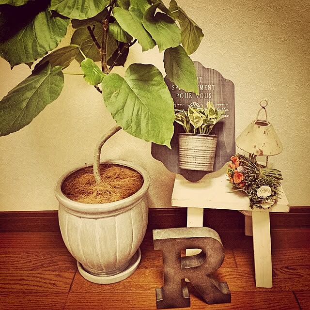 tonさんの実例写真