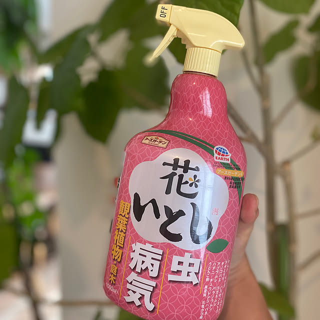kotaroさんの部屋