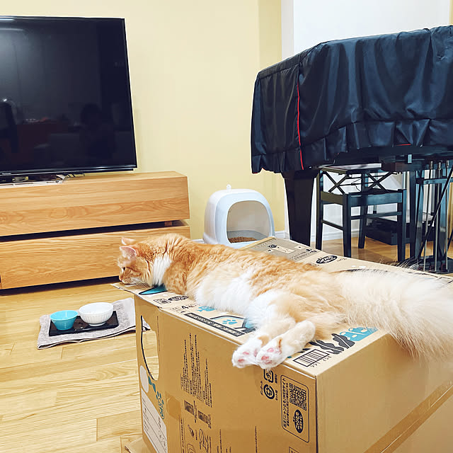 m.r.iさんの実例写真