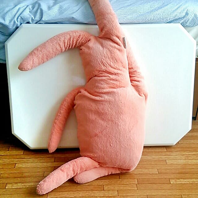huuさんの実例写真