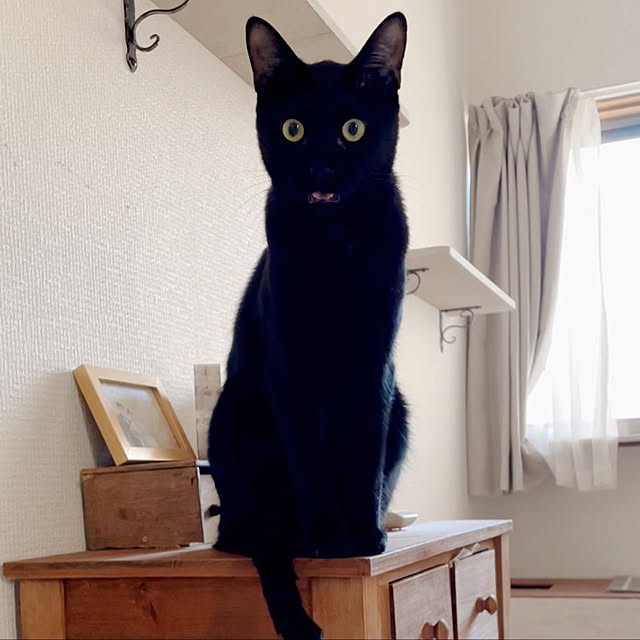 harukaさんの実例写真