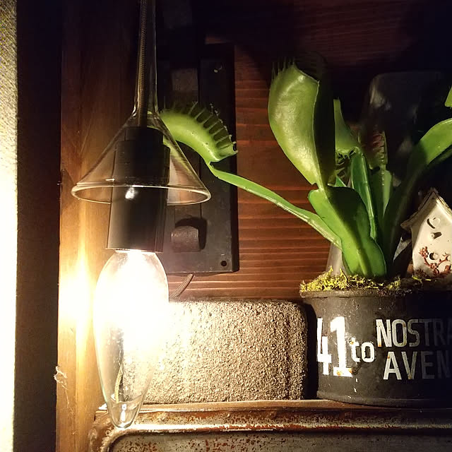 INDOORさんの実例写真