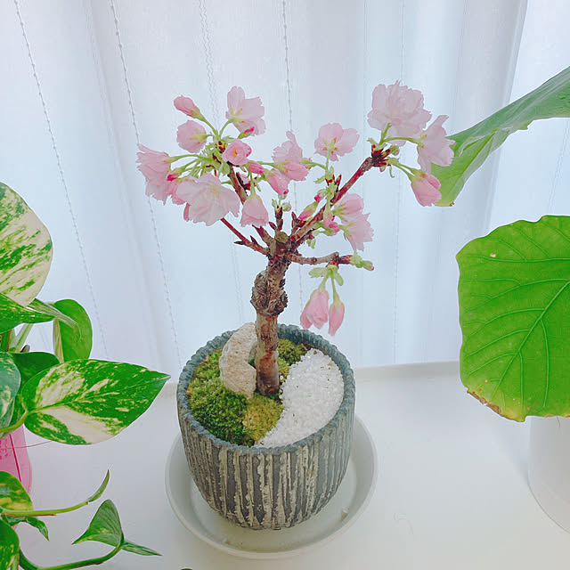 yuyuさんの部屋