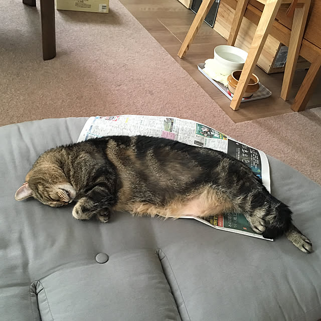 mikomaruさんの実例写真