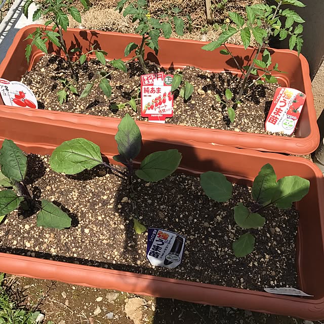 flowerpot-yuさんの実例写真