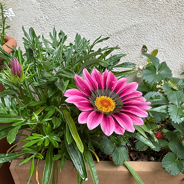 tabasaさんの部屋