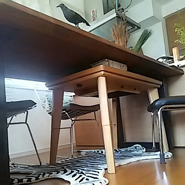 spinetailさんの実例写真