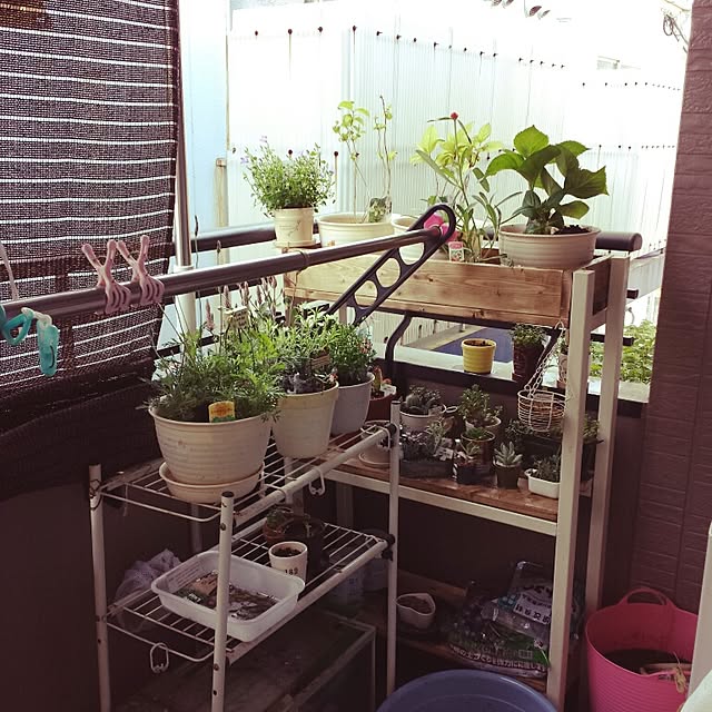 Naomiさんの実例写真