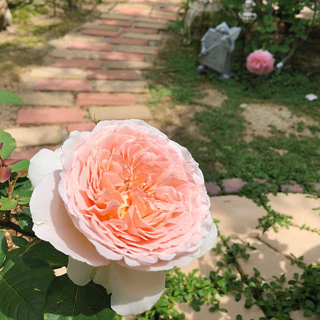 yumicyanさんの実例写真