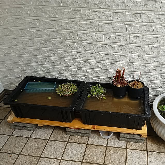 soyokoさんの実例写真