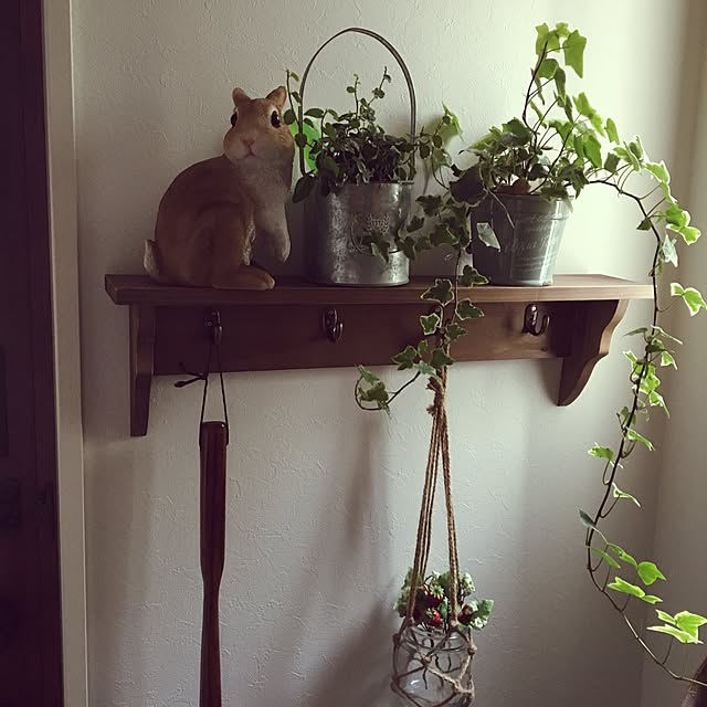 REEmamaさんの実例写真
